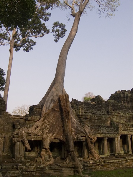 Cambodia_Angkor Wat_3_18-20_06_028