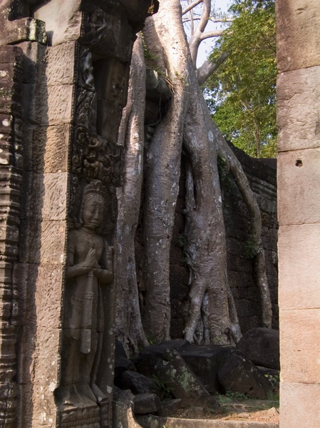 Cambodia_Angkor Wat_3_18-20_06_042