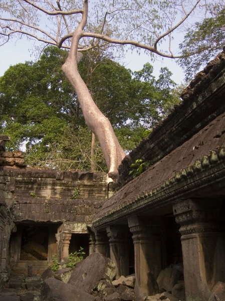 Cambodia_Angkor Wat_3_18-20_06_045