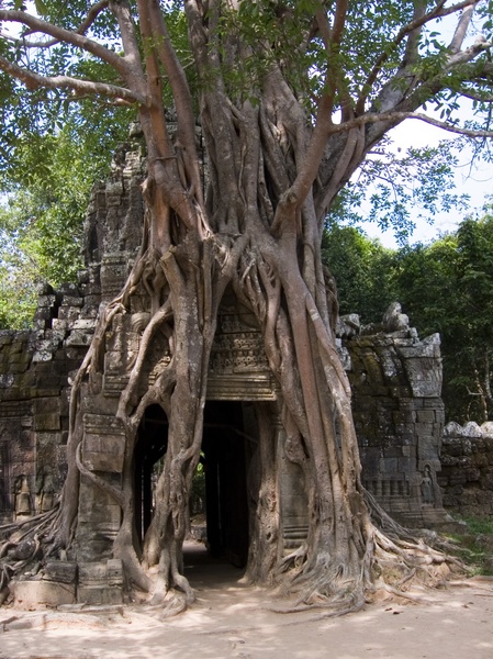 Cambodia_Angkor Wat_3_18-20_06_047