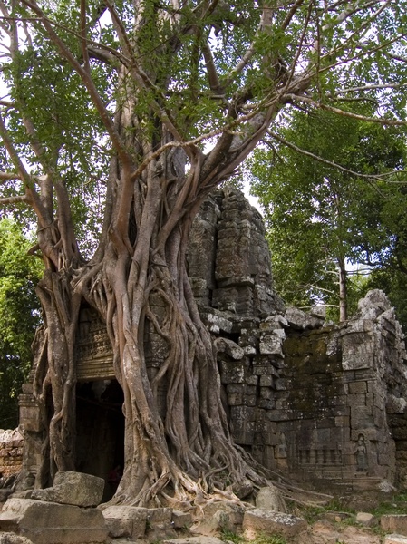 Cambodia_Angkor Wat_3_18-20_06_049