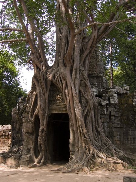 Cambodia_Angkor Wat_3_18-20_06_050