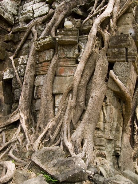 Cambodia_Angkor Wat_3_18-20_06_051