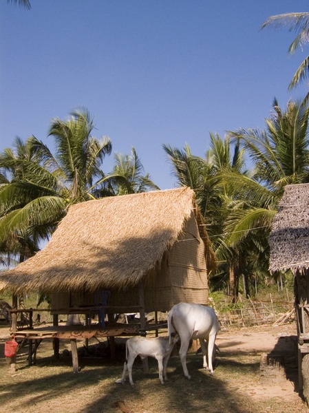 Cambodia_Rabbit Island_3_27_06_13