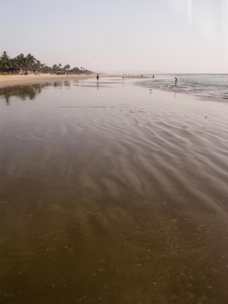 India-Colva Beach Goa_11_19,20_05_02