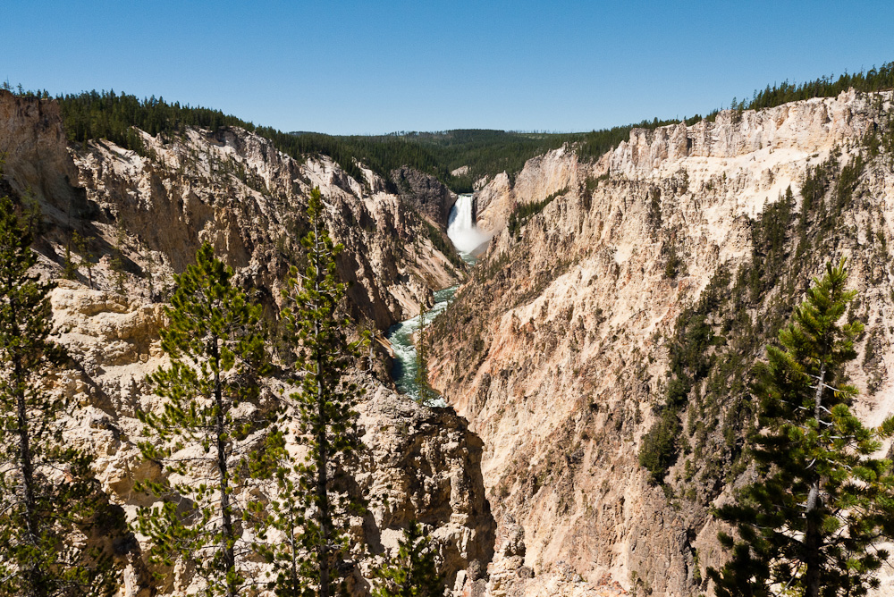 Yellowstone River and Falls