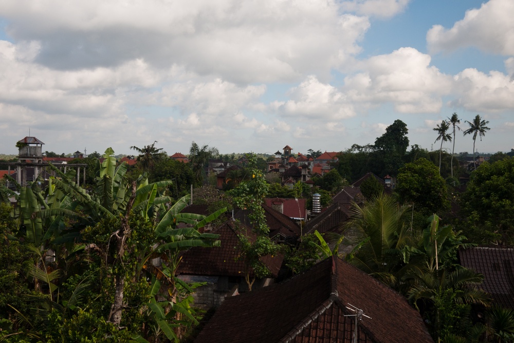 Ubud Rooftops